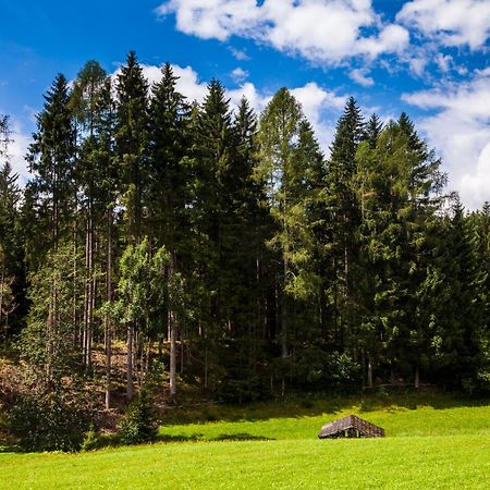 Biobauernhof Kleinummerstall Mittersill Εξωτερικό φωτογραφία