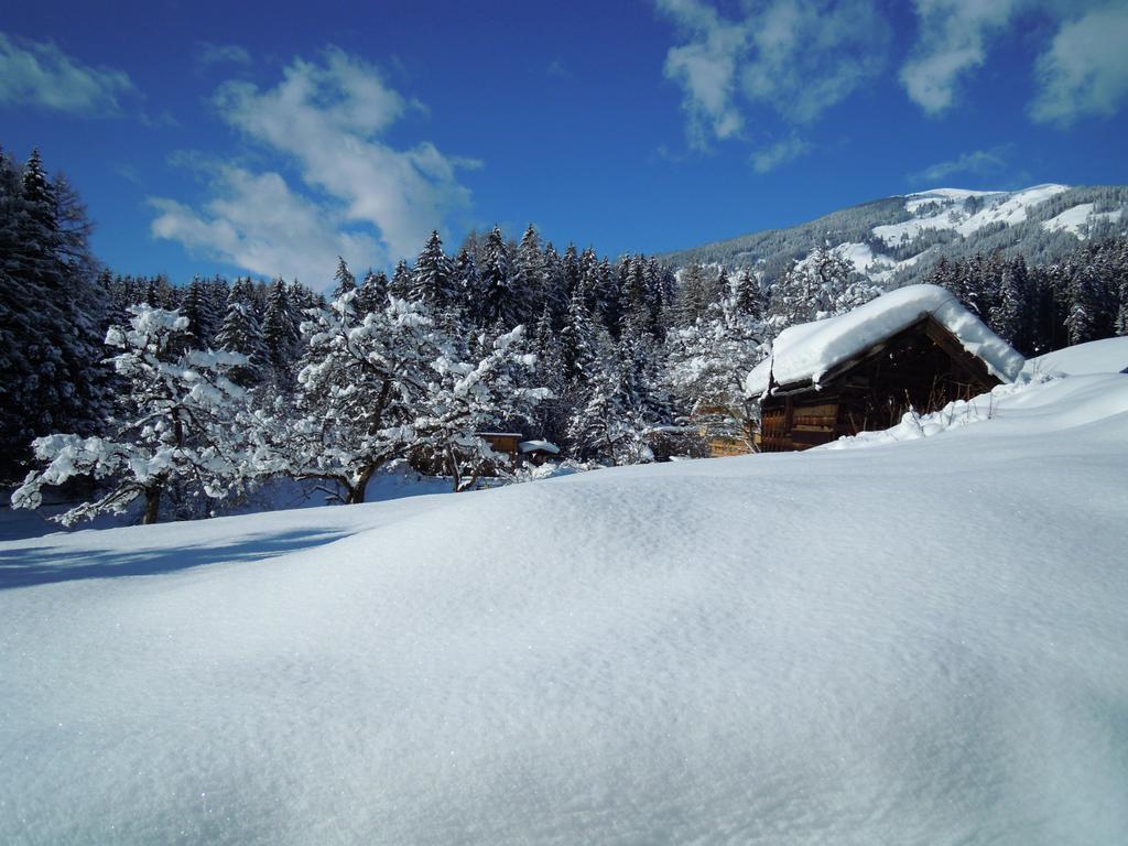 Biobauernhof Kleinummerstall Mittersill Εξωτερικό φωτογραφία