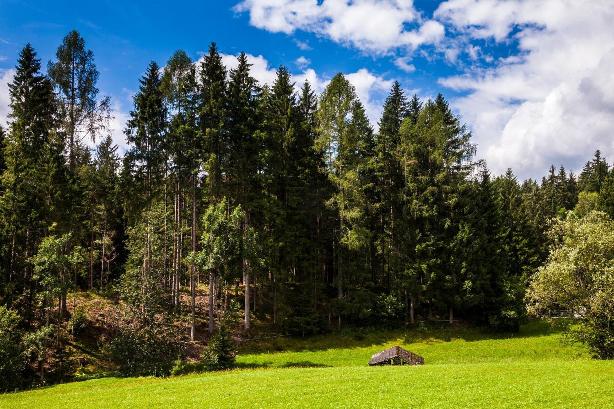 Biobauernhof Kleinummerstall Mittersill Εξωτερικό φωτογραφία